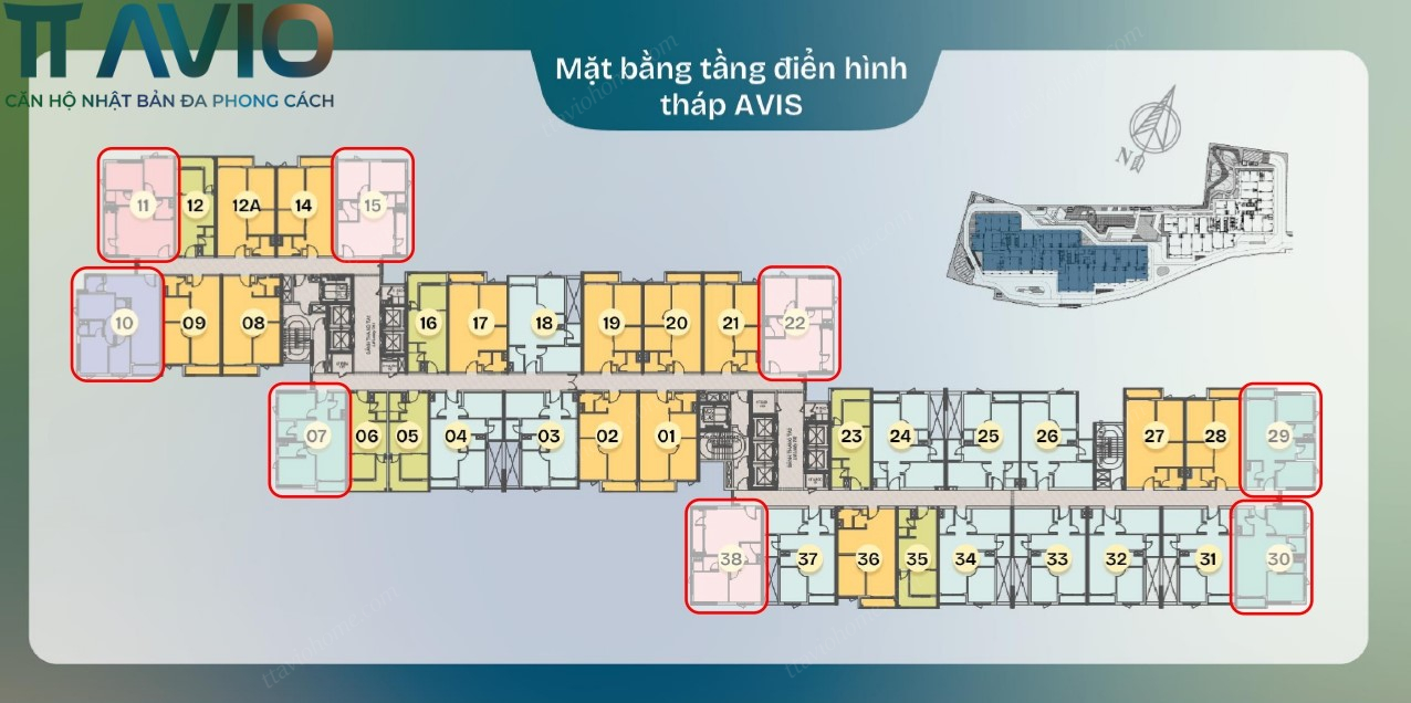 MẶt BẰng ThÁp Avis CĂn HỘ Tt Avio TỐi Ưu HÓa theo TỶ LỆ CĂn GÓc